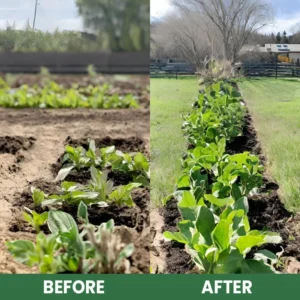 LIMETOW® Plant Resurrection Liquid image LIMETOW® Plant Resurrection Liquid