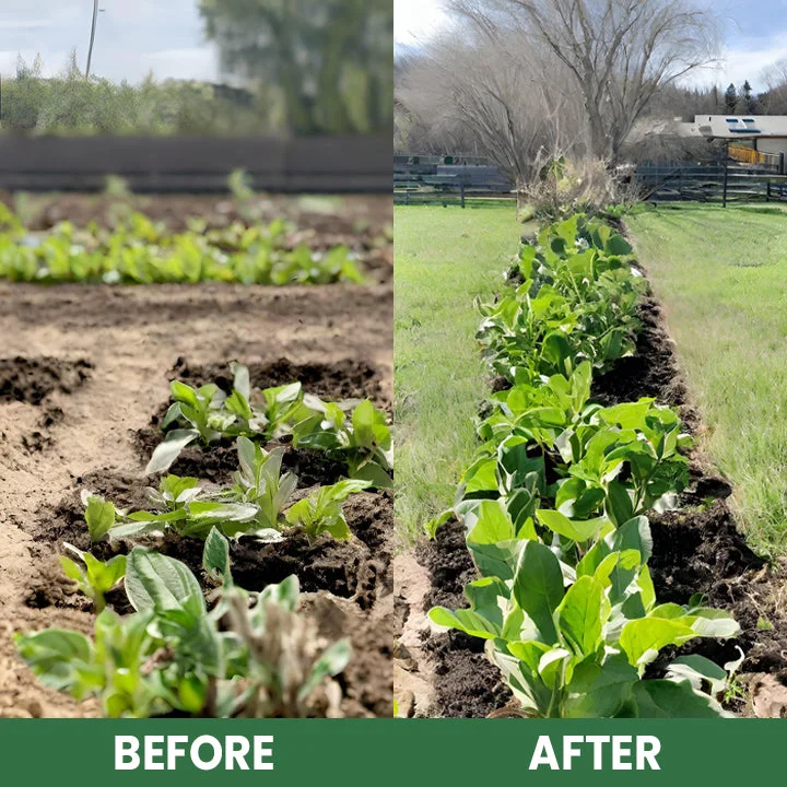 LIMETOW® Plant Resurrection Liquid image LIMETOW® Plant Resurrection Liquid - Image 15