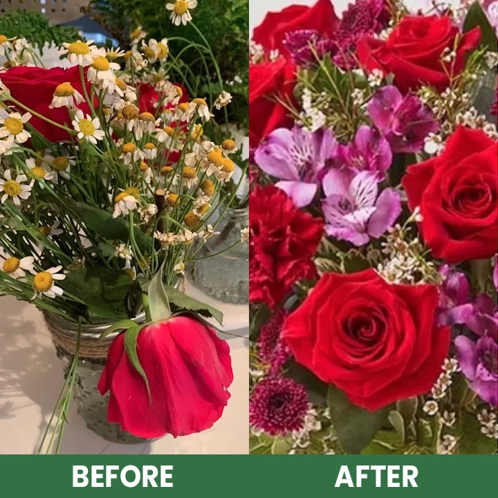 LIMETOW® Plant Resurrection Liquid image LIMETOW® Plant Resurrection Liquid - Image 13