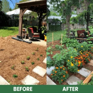 LIMETOW® Plant Resurrection Liquid image LIMETOW® Plant Resurrection Liquid