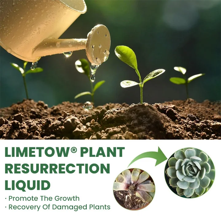 LIMETOW® Plant Resurrection Liquid image LIMETOW® Plant Resurrection Liquid